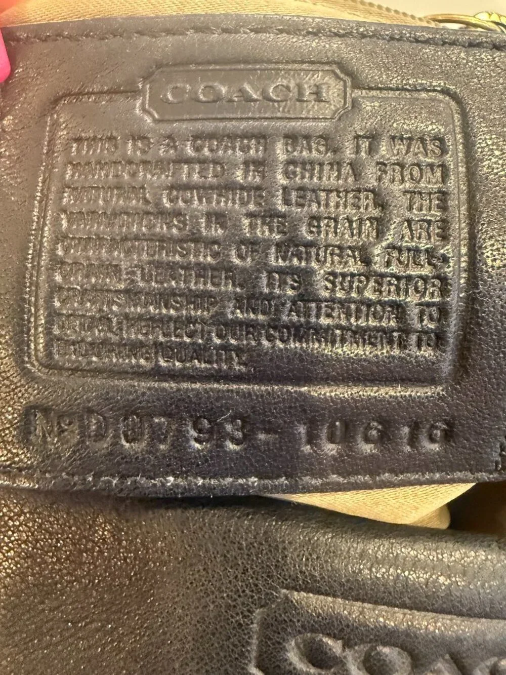 COACH Carly Hobo Bag (Large - Style #60616)